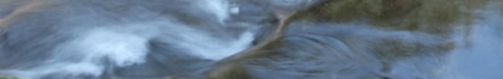 제사(祭祀), 제례(祭禮) oder Gedenken an die&nbsp;Ahnen