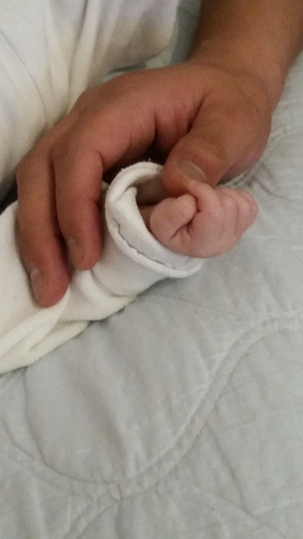 Schwangerschaft & Wochenbett